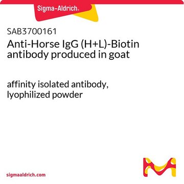 Anti-Horse IgG (H+L)-Biotin antibody produced in goat affinity isolated antibody, lyophilized powder