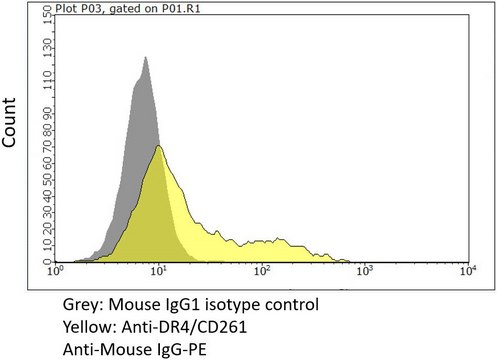 Anti-DR4/CD261 Antibody, clone DJR1