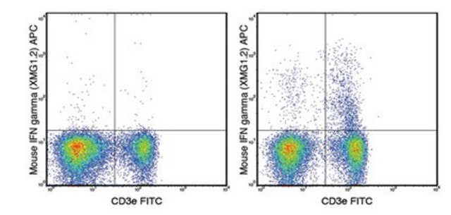 Anti-mouse IFN gamma, APC, clone XMG1.2 Antibody clone XMG1.2, from rat, Allophycocyanin conjugate