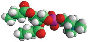 04:0 PC 1,2-dibutyryl-sn-glycero-3-phosphocholine, chloroform