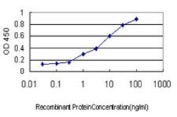 Monoclonal Anti-USP5 antibody produced in mouse clone 2C8, purified immunoglobulin, buffered aqueous solution