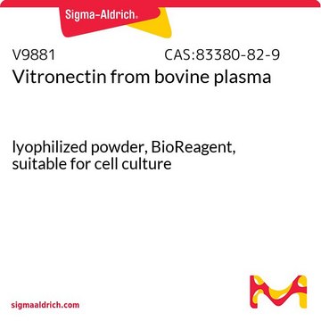 Vitronectin 来源于牛血浆 lyophilized powder, BioReagent, suitable for cell culture