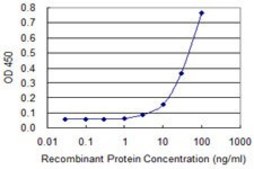 Monoclonal Anti-ZIC3 antibody produced in mouse clone 4F7, purified immunoglobulin, buffered aqueous solution