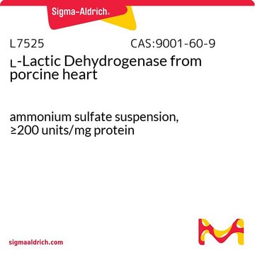 L-Lactic Dehydrogenase 来源于猪心脏 ammonium sulfate suspension, &#8805;200&#160;units/mg protein