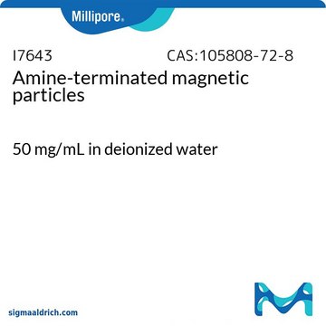 Amine-terminated magnetic particles 50&#160;mg/mL in deionized water