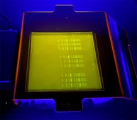 Benchmark SmartBlue Mini Transilluminator AC/DC input 115 V