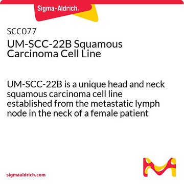 UM-SCC-22B Squamous Carcinoma Cell Line UM-SCC-22B is a unique head and neck squamous carcinoma cell line established from the metastatic lymph node in the neck of a female patient and is a suitable in vitro model of H&amp;N carcinoma studies.