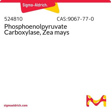 Phosphoenolpyruvate Carboxylase, Zea mays