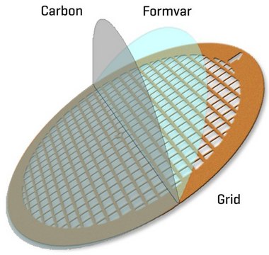 Formvar/Carbon Supported Copper Grids grid size 100&#160;mesh, box of 50