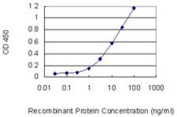 Monoclonal Anti-MTHFD1L antibody produced in mouse clone 1E8, purified immunoglobulin, buffered aqueous solution