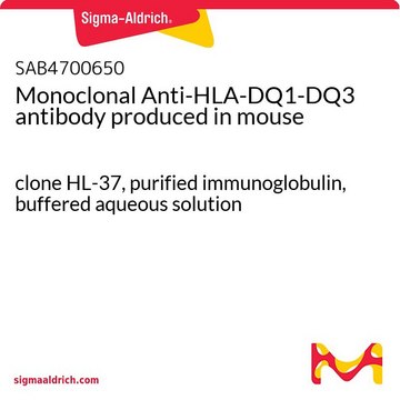 Monoclonal Anti-HLA-DQ1-DQ3 antibody produced in mouse clone HL-37, purified immunoglobulin, buffered aqueous solution