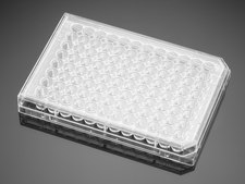 Corning® BioCoat™ Collagen I 48 Well Clear Flat Bottom TC-Treated Multiwell Plate with Lid well size 48 wells, flat bottom clear wells, lid