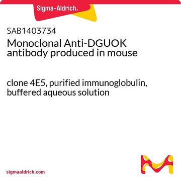 Monoclonal Anti-DGUOK antibody produced in mouse clone 4E5, purified immunoglobulin, buffered aqueous solution