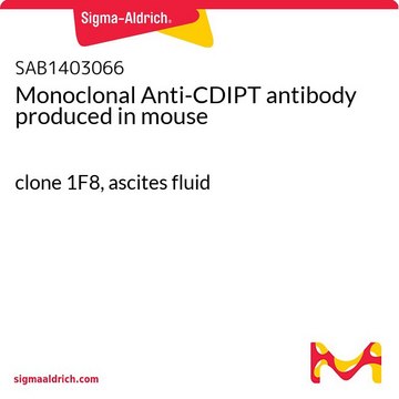 Monoclonal Anti-CDIPT antibody produced in mouse clone 1F8, ascites fluid