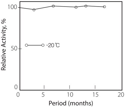 Pyruvate Oxidase from microorganisms lyophilized powder, &#8805;1.5&#160;U/mg