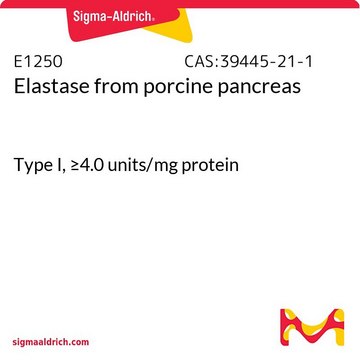 弹性蛋白酶 来源于猪胰腺 Type I, &#8805;4.0&#160;units/mg protein