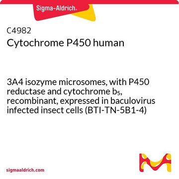 细胞色素P450 人 3A4 isozyme microsomes, with P450 reductase and cytochrome b5, recombinant, expressed in baculovirus infected insect cells (BTI-TN-5B1-4)