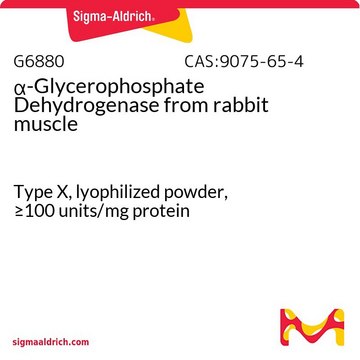 &#945;-甘油磷酸脱氢酶 来源于兔肌肉 Type X, lyophilized powder, &#8805;100&#160;units/mg protein