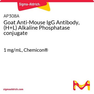 山羊抗小鼠IgG抗体，（H + L）碱性磷酸酶偶联 1&#160;mg/mL, Chemicon&#174;