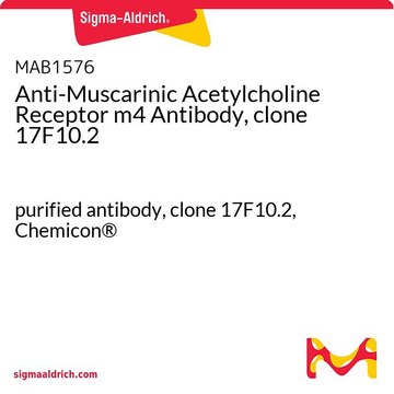 Anti-Muscarinic Acetylcholine Receptor m4 Antibody, clone 17F10.2 purified antibody, clone 17F10.2, Chemicon&#174;