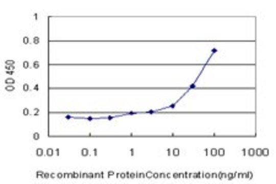 ANTI-GPT antibody produced in mouse clone M1, purified immunoglobulin, buffered aqueous solution