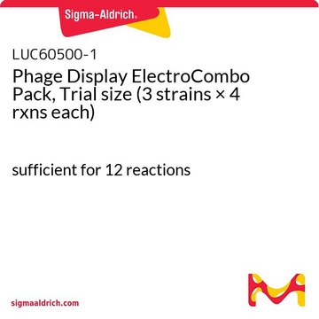 Phage Display ElectroCombo Pack, Trial size&nbsp;(3 strains × 4 rxns each) sufficient for 12&#160;reactions