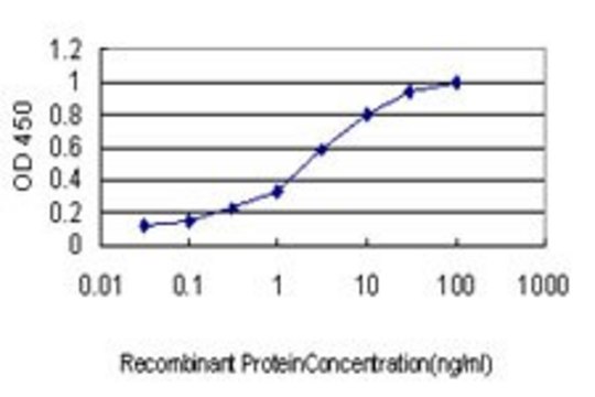 Monoclonal Anti-RIN1 antibody produced in mouse clone 1D11, purified immunoglobulin, buffered aqueous solution