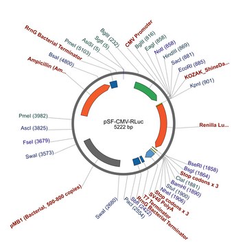 PSF-CMV-RLUC - CMV RENILLA LUCIFERASE PLASMID plasmid vector for molecular cloning