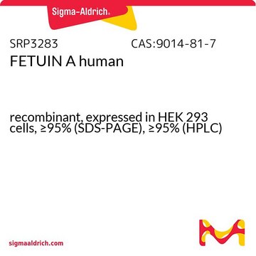 人胎球蛋白 A recombinant, expressed in HEK 293 cells, &#8805;95% (SDS-PAGE), &#8805;95% (HPLC)