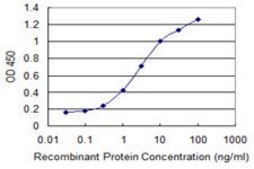 Monoclonal Anti-TNFRSF25 antibody produced in mouse clone 1H2, purified immunoglobulin, buffered aqueous solution