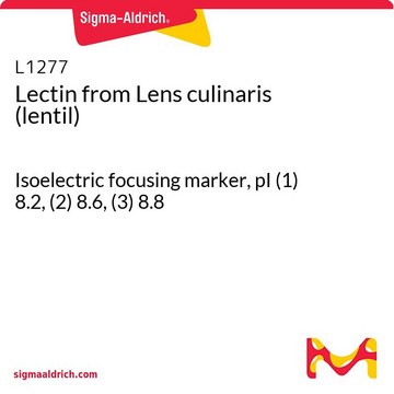 来自 小扁豆 的凝集素（扁豆） Isoelectric focusing marker, pI&#160;(1) 8.2, (2) 8.6, (3) 8.8