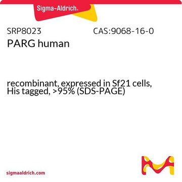 PARG human recombinant, expressed in Sf21 cells, His tagged, &gt;95% (SDS-PAGE)