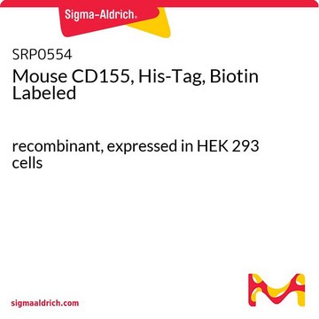 Mouse CD155, His-Tag, Biotin Labeled recombinant, expressed in HEK 293 cells