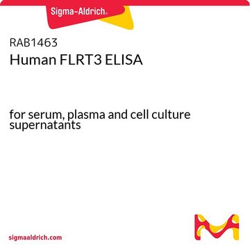 人FLRT3 ELISA for serum, plasma and cell culture supernatants