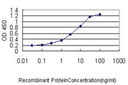 Monoclonal Anti-E2F6 antibody produced in mouse clone 1F7-A9, purified immunoglobulin, buffered aqueous solution