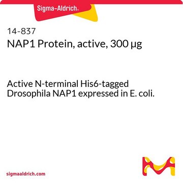 NAP1 Protein, active, 300 &#181;g Active N-terminal His6-tagged Drosophila NAP1 expressed in E. coli.