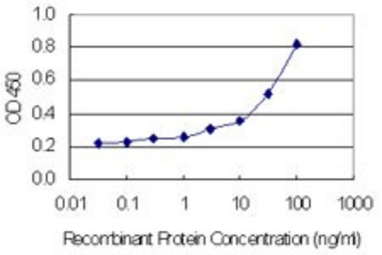 Monoclonal Anti-ENTPD3 antibody produced in mouse clone 2A4, purified immunoglobulin