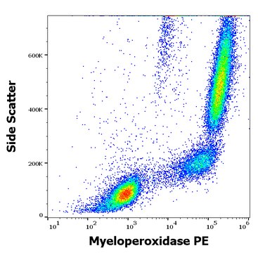 Monoclonal Anti-Myeloperoxidase PE produced in mouse