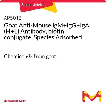 Goat Anti-Mouse IgM+IgG+IgA (H+L) Antibody, biotin conjugate, Species Adsorbed Chemicon&#174;, from goat