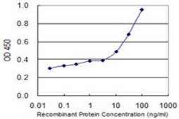 Monoclonal Anti-ADPRH antibody produced in mouse clone 1F11, purified immunoglobulin, buffered aqueous solution