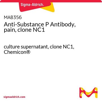 抗-P物质抗体，pain，克隆NC1 culture supernatant, clone NC1, Chemicon&#174;