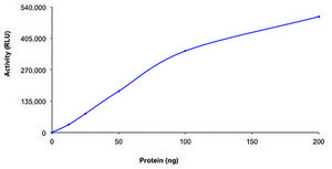 PI3K (p110-α/p85-α), active, His tagged from mouse and human PRECISIO®, recombinant, expressed in baculovirus infected Sf9 cells, ≥70% (SDS-PAGE), buffered aqueous glycerol solution