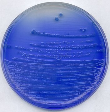 China-blue lactose agar suitable for microbiology