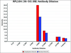 Anti-RPL10A (36-50) antibody produced in rabbit IgG fraction of antiserum, buffered aqueous solution