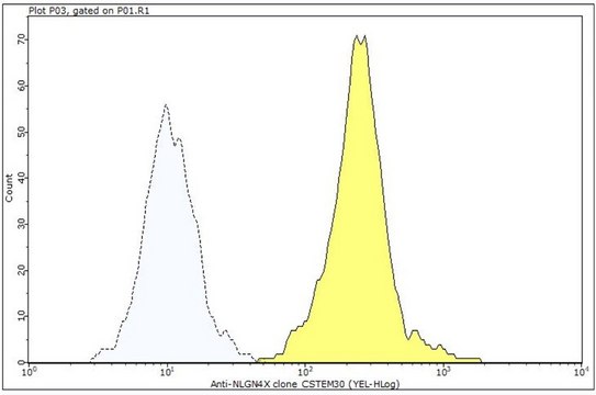 Anti-NLGN4X Antibody, clone CSTEM30