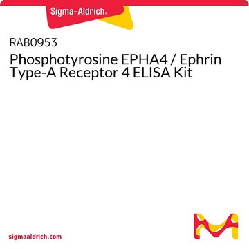 磷酸酪氨酸EPHA4 / Ephrin A型受体4 ELISA试剂盒