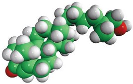 7α,27-dihydroxy-4-cholesten-3-one Avanti Research™ - A Croda Brand