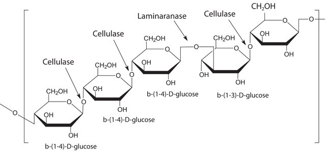 Driselase&#8482; Basidiomycetes sp. BioReagent, suitable for plant cell culture