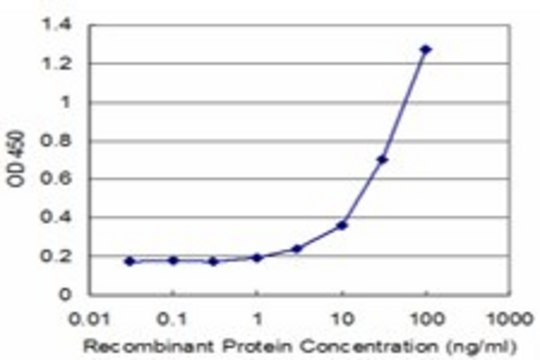 Monoclonal Anti-CHST4 antibody produced in mouse clone 4D7, purified immunoglobulin, buffered aqueous solution