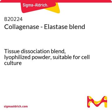 Collagenase - Elastase blend Tissue dissociation blend, lyophilized powder, suitable for cell culture